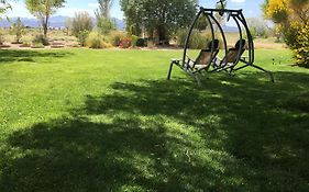 Shady Lady Bed And Breakfast